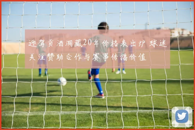 迎驾贡酒洞藏20年价格表出炉 球迷关注赞助合作与赛事传播价值
