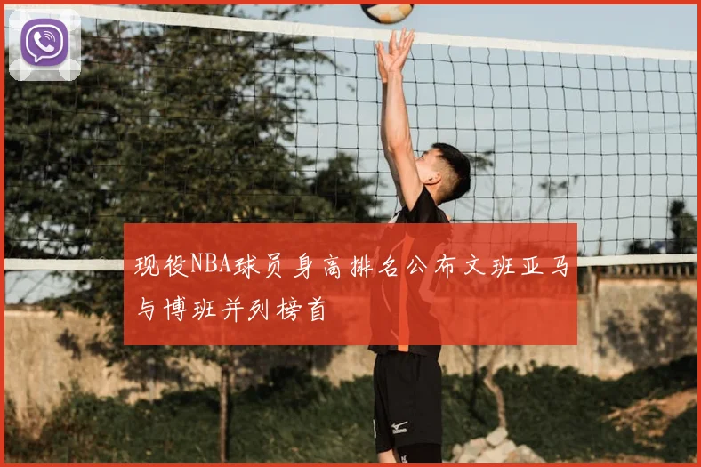 现役NBA球员身高排名公布文班亚马与博班并列榜首