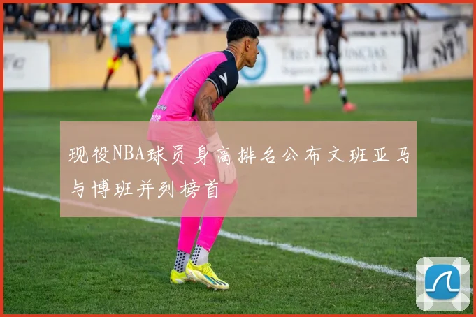现役NBA球员身高排名公布文班亚马与博班并列榜首