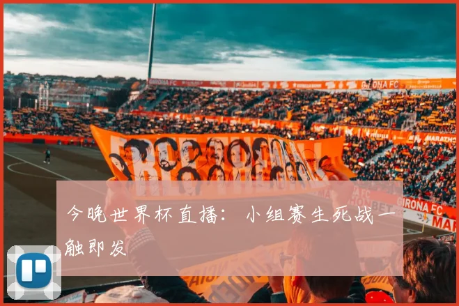 今晚世界杯直播：小组赛生死战一触即发