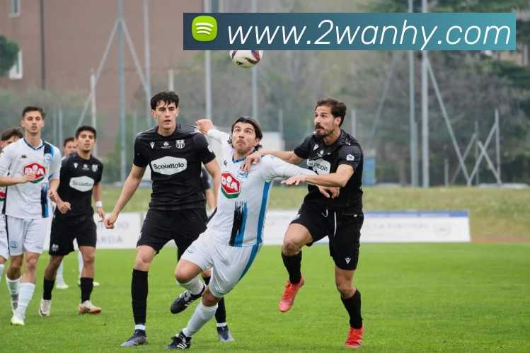 qy球友会·(中国)官方网站APP 封面图