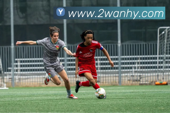 数据防护可视化